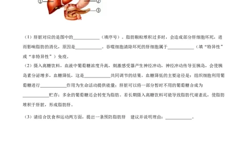 精品解析：2024年内蒙古中考生物真题（原卷版）_中考真题_8.生物中考真题2015-2024年_2024年中考生物真题_精品解析：2024年内蒙古中考生物真题