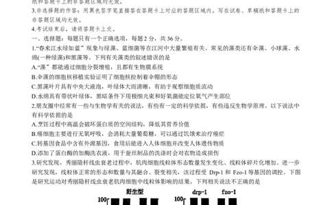 2025届湖北省黄冈中学高三5月第二次模拟预测生物试题_2025年5月_05192025届湖北省黄冈中学高三5月第二次模拟预测_2025届湖北省黄冈中学高三5月第二次模拟预测生物试题