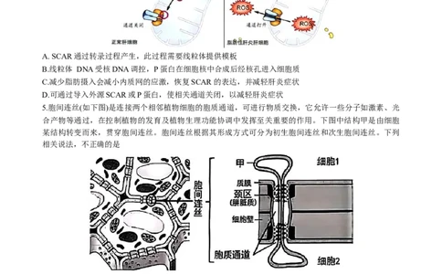 2025届湖北省黄冈中学高三5月第二次模拟预测生物试题_2025年5月_05192025届湖北省黄冈中学高三5月第二次模拟预测_2025届湖北省黄冈中学高三5月第二次模拟预测生物试题