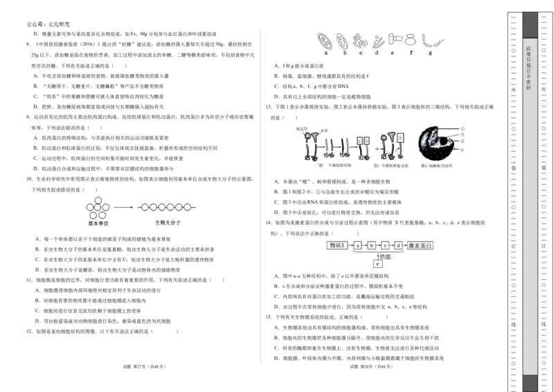 高一生物期中模拟卷01测试范围：人教版2019第1~4章（考试版A3）（新高考通用）_1多考区联考试卷_1014高一期中模拟卷（新高考通用）黄金卷：2024-2025学年高一上学期期中模拟考试