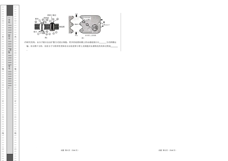 高一生物期中模拟卷01测试范围：人教版2019第1~4章（考试版A3）（新高考通用）_1多考区联考试卷_1014高一期中模拟卷（新高考通用）黄金卷：2024-2025学年高一上学期期中模拟考试