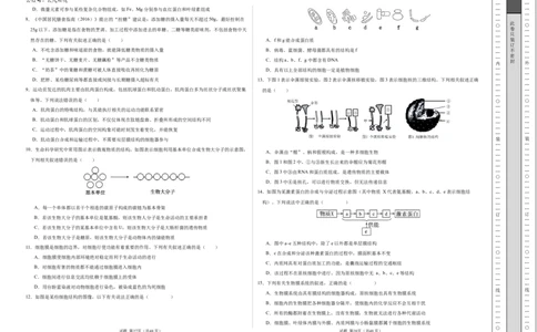 高一生物期中模拟卷01测试范围：人教版2019第1~4章（考试版A3）（新高考通用）_1多考区联考试卷_1014高一期中模拟卷（新高考通用）黄金卷：2024-2025学年高一上学期期中模拟考试