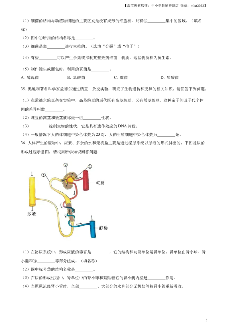 精品解析：2024年黑龙江省绥化市中考生物真题（原卷版）_中考真题_8.生物中考真题2015-2024年_2024年中考生物真题_精品解析：2024年黑龙江省绥化市中考生物真题