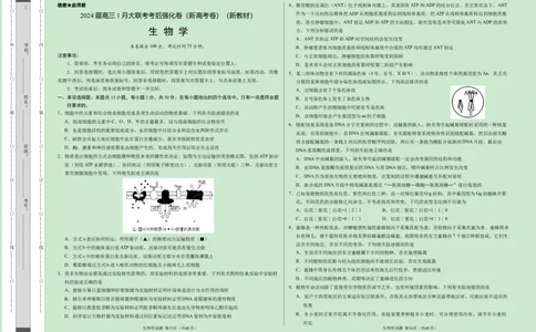 黑龙江省齐齐哈尔市第八中学校等校2023-2024学年高三1月大联考考后强化生物试题_2024届高三1月大联考考后强化卷（新课标II卷）_2024届高三1月大联考考后强化卷（新课标II卷）生物