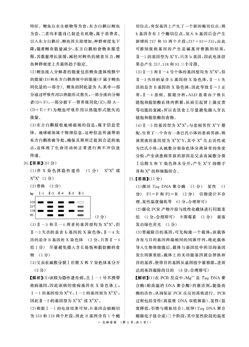2025&mdash;2026学年高三9月高三质量检测生物试题答案解析评分细则2025&mdash;2026学年高三9月高三质量检测生物答案_2025年9月