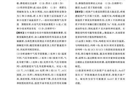 2025&mdash;2026学年高三9月高三质量检测生物试题答案解析评分细则2025&mdash;2026学年高三9月高三质量检测生物答案_2025年9月