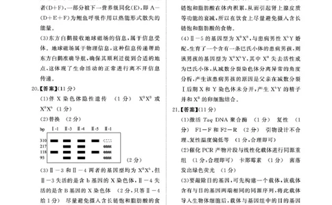 2025&mdash;2026学年高三9月高三质量检测生物试题答案解析评分细则2025&mdash;2026学年高三9月高三质量检测生物答案_2025年9月