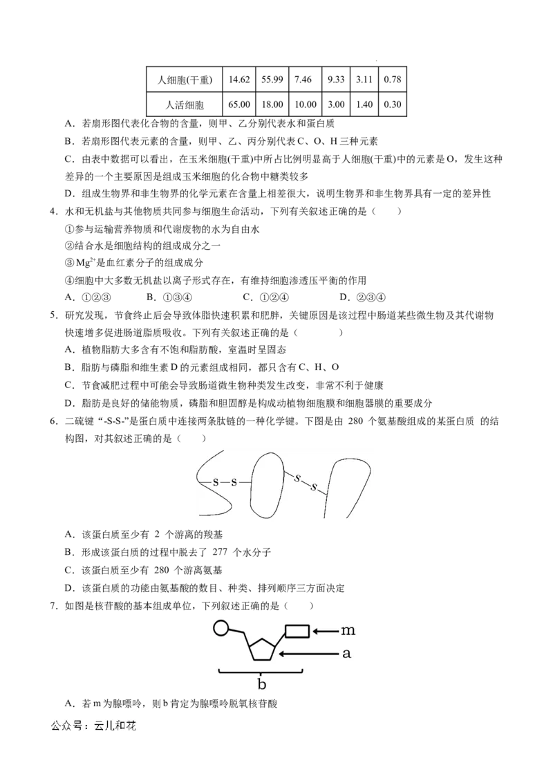 高一生物期中模拟卷测试范围：第1~4章（考试版A4）（天津专用）_1多考区联考试卷_1021高一期中模拟卷（天津专用）黄金卷：2024-2025学年高一上学期期中模拟考试