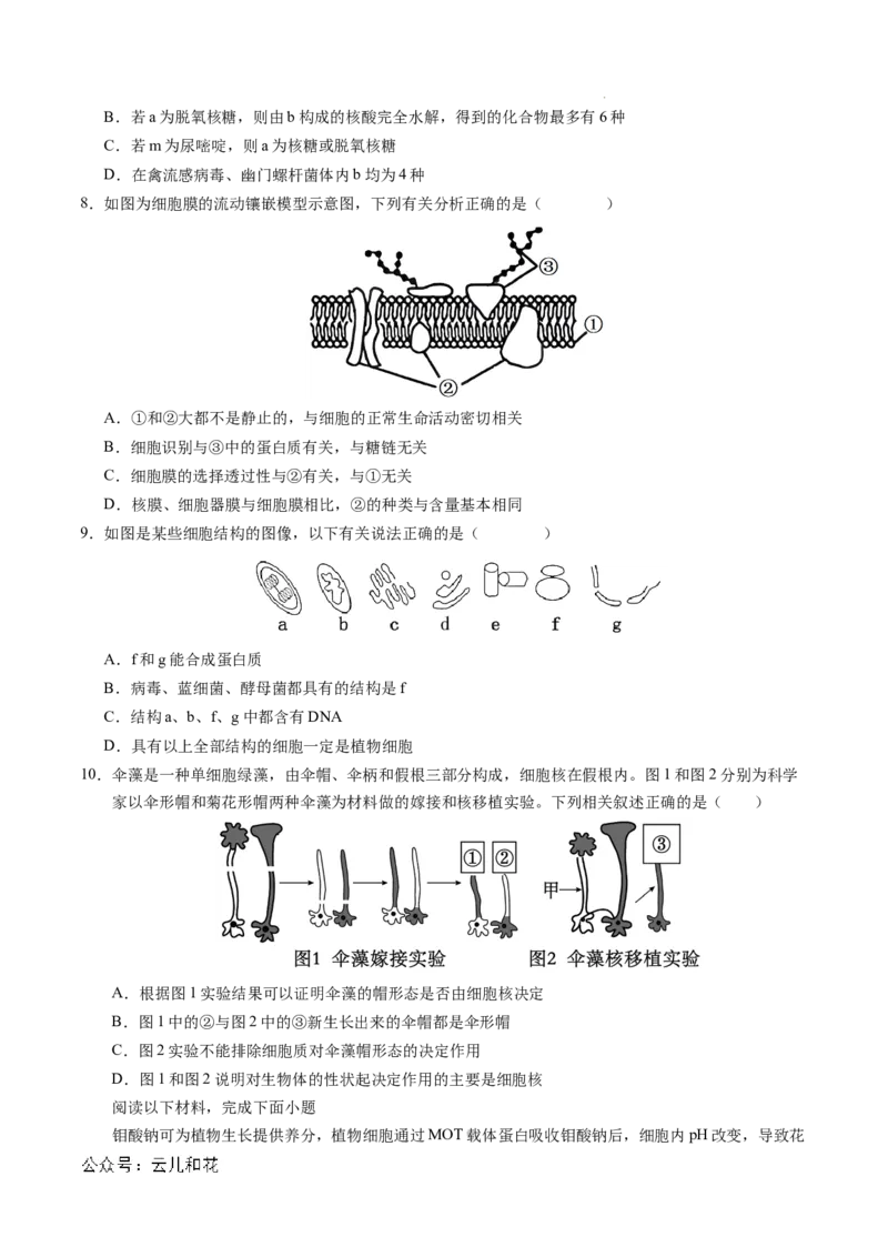 高一生物期中模拟卷测试范围：第1~4章（考试版A4）（天津专用）_1多考区联考试卷_1021高一期中模拟卷（天津专用）黄金卷：2024-2025学年高一上学期期中模拟考试