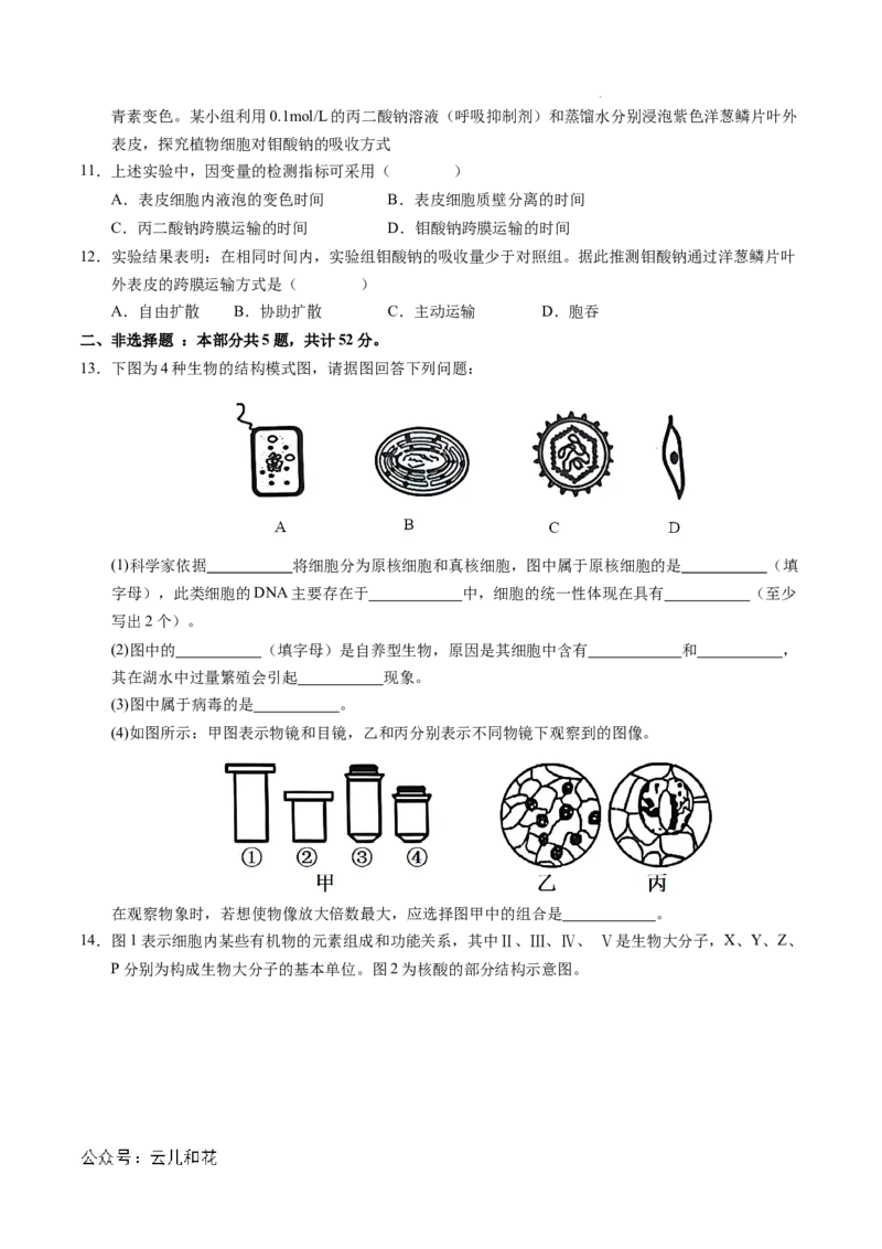 高一生物期中模拟卷测试范围：第1~4章（考试版A4）（天津专用）_1多考区联考试卷_1021高一期中模拟卷（天津专用）黄金卷：2024-2025学年高一上学期期中模拟考试