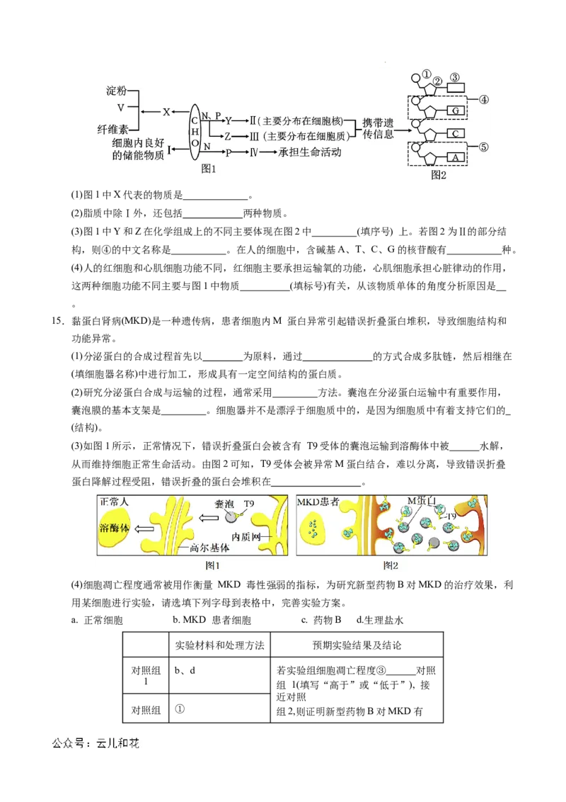 高一生物期中模拟卷测试范围：第1~4章（考试版A4）（天津专用）_1多考区联考试卷_1021高一期中模拟卷（天津专用）黄金卷：2024-2025学年高一上学期期中模拟考试