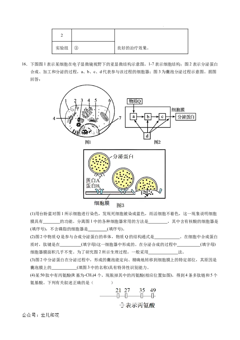 高一生物期中模拟卷测试范围：第1~4章（考试版A4）（天津专用）_1多考区联考试卷_1021高一期中模拟卷（天津专用）黄金卷：2024-2025学年高一上学期期中模拟考试
