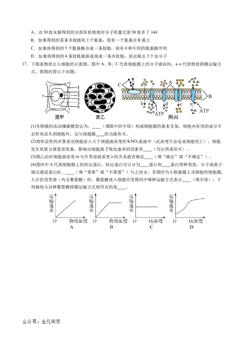 高一生物期中模拟卷测试范围：第1~4章（考试版A4）（天津专用）_1多考区联考试卷_1021高一期中模拟卷（天津专用）黄金卷：2024-2025学年高一上学期期中模拟考试