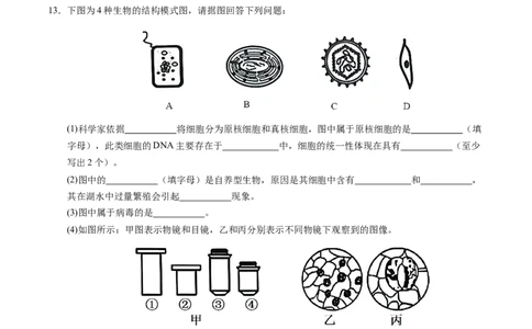 高一生物期中模拟卷测试范围：第1~4章（考试版A4）（天津专用）_1多考区联考试卷_1021高一期中模拟卷（天津专用）黄金卷：2024-2025学年高一上学期期中模拟考试
