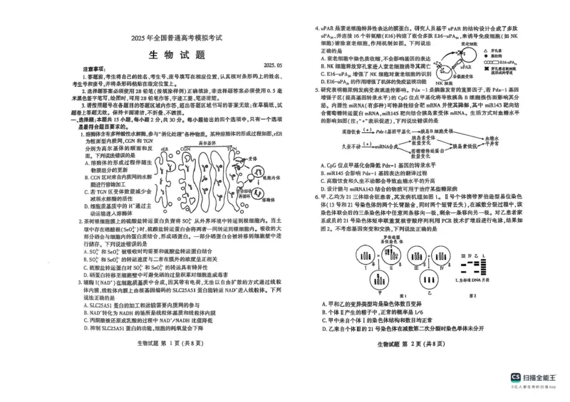 2025届山东省潍坊市高三下学期5月三模生物试题（含答案）_2025年5月_250519山东省潍坊市2025届高三下学期三模考试（全科）