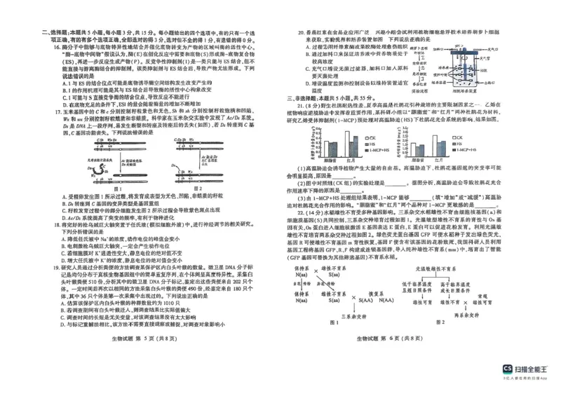 2025届山东省潍坊市高三下学期5月三模生物试题（含答案）_2025年5月_250519山东省潍坊市2025届高三下学期三模考试（全科）