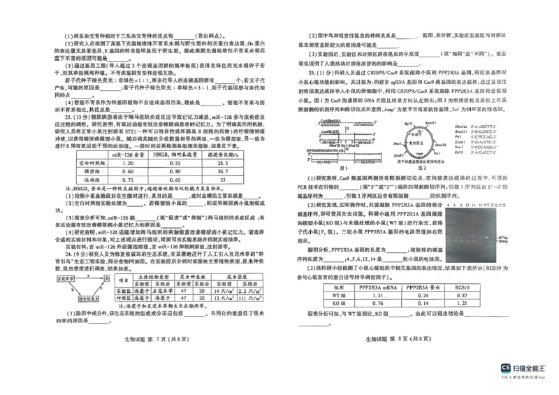 2025届山东省潍坊市高三下学期5月三模生物试题（含答案）_2025年5月_250519山东省潍坊市2025届高三下学期三模考试（全科）
