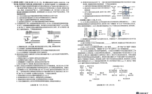 2025届山东省潍坊市高三下学期5月三模生物试题（含答案）_2025年5月_250519山东省潍坊市2025届高三下学期三模考试（全科）