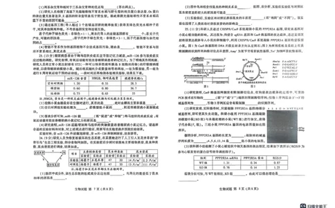 2025届山东省潍坊市高三下学期5月三模生物试题（含答案）_2025年5月_250519山东省潍坊市2025届高三下学期三模考试（全科）