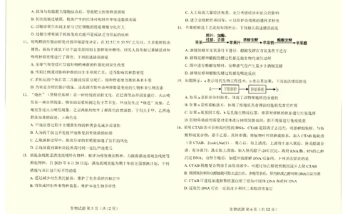 云南省临沧地区中学2024&mdash;2025学年高三下学期入学考试生物试题（含答案）_2025年8月_250813云南省临沧地区中学2026届高三上学期入学模拟检测