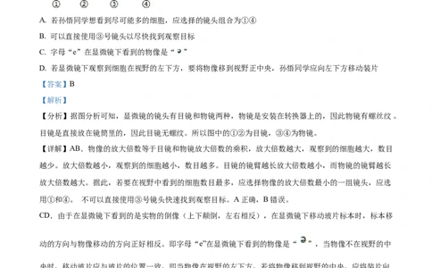 精品解析：湖南省株洲市2021年中考生物试题（解析版）_中考真题_8.生物中考真题2015-2024年_2021中考生物真题64份_2021湖南省_精品解析：湖南省株洲市2021年中考生物试题
