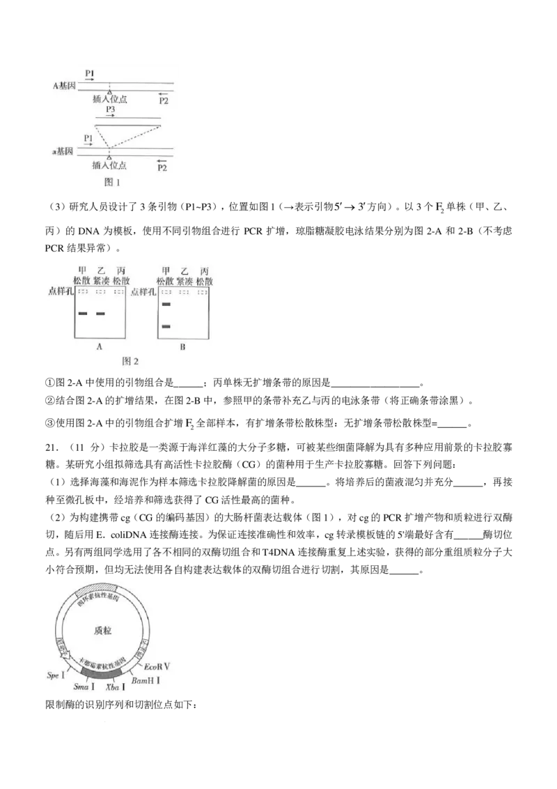 精品解析：2025年高考河南卷生物高考真题解析（参考版）_1.高考2025全国各省真题+答案_00.2025各省市高考真题及答案（按省份分类）_12、河南卷（9科全）_生物