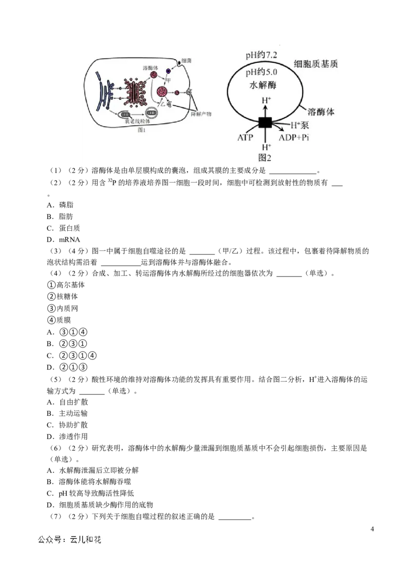 高一生物第一次月考卷（考试版A4）（上海专用）_1多考区联考试卷_0922黄金卷：2024-2025学年高一上学期第一次月考9科word解析版含答题卡（上海专用）
