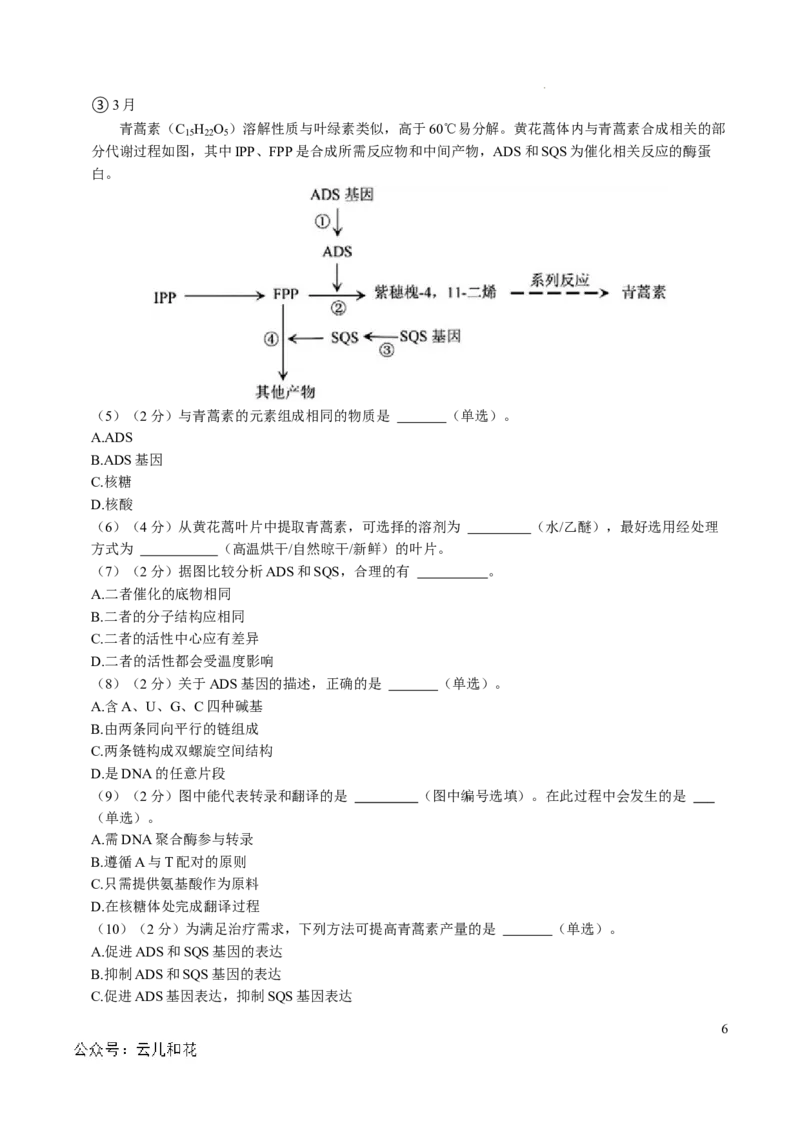 高一生物第一次月考卷（考试版A4）（上海专用）_1多考区联考试卷_0922黄金卷：2024-2025学年高一上学期第一次月考9科word解析版含答题卡（上海专用）