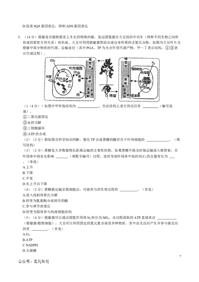 高一生物第一次月考卷（考试版A4）（上海专用）_1多考区联考试卷_0922黄金卷：2024-2025学年高一上学期第一次月考9科word解析版含答题卡（上海专用）