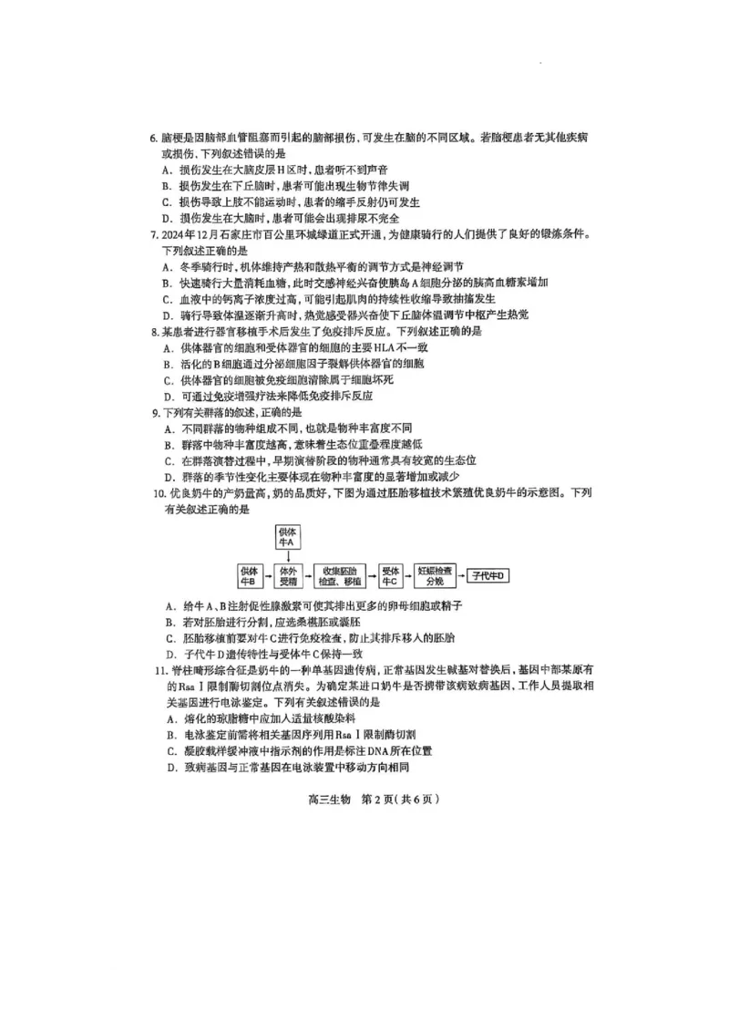 2025届河北省石家庄市普通高中毕业年级教学质量检测（二）生物试卷_2025年4月_2504092025届河北省石家庄市普通高中毕业年级教学质量检测（二）（全科）