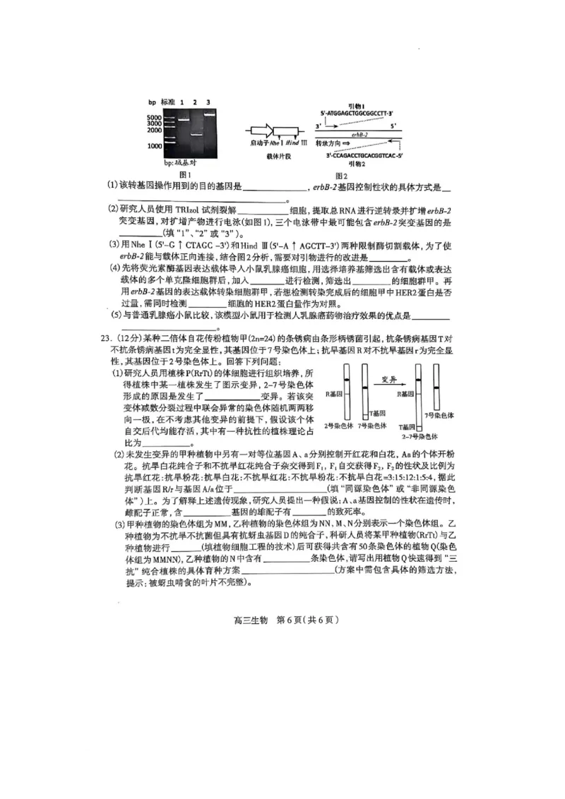 2025届河北省石家庄市普通高中毕业年级教学质量检测（二）生物试卷_2025年4月_2504092025届河北省石家庄市普通高中毕业年级教学质量检测（二）（全科）