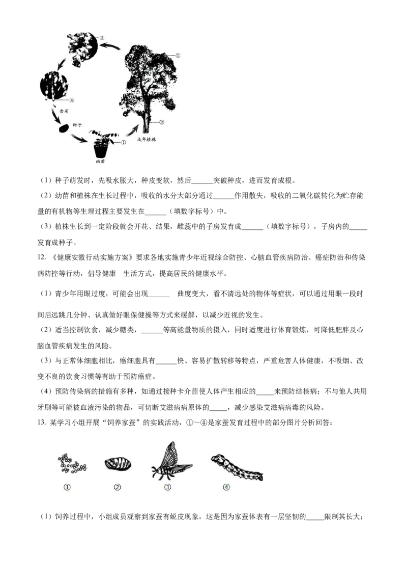 精品解析：2024年安徽省中考生物试题（原卷版）_中考真题_8.生物中考真题2015-2024年_2024年中考生物真题_精品解析：2024年安徽省中考生物试题