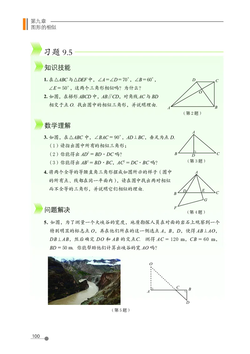 鲁教版8年级数学下册高清教材_4-教培资料-26年最新资料-同步更新_初中高中教资_03科三专项（进去保存报考的学科即可）_02科三专项（笔记真题思维导图教学设计版本二）