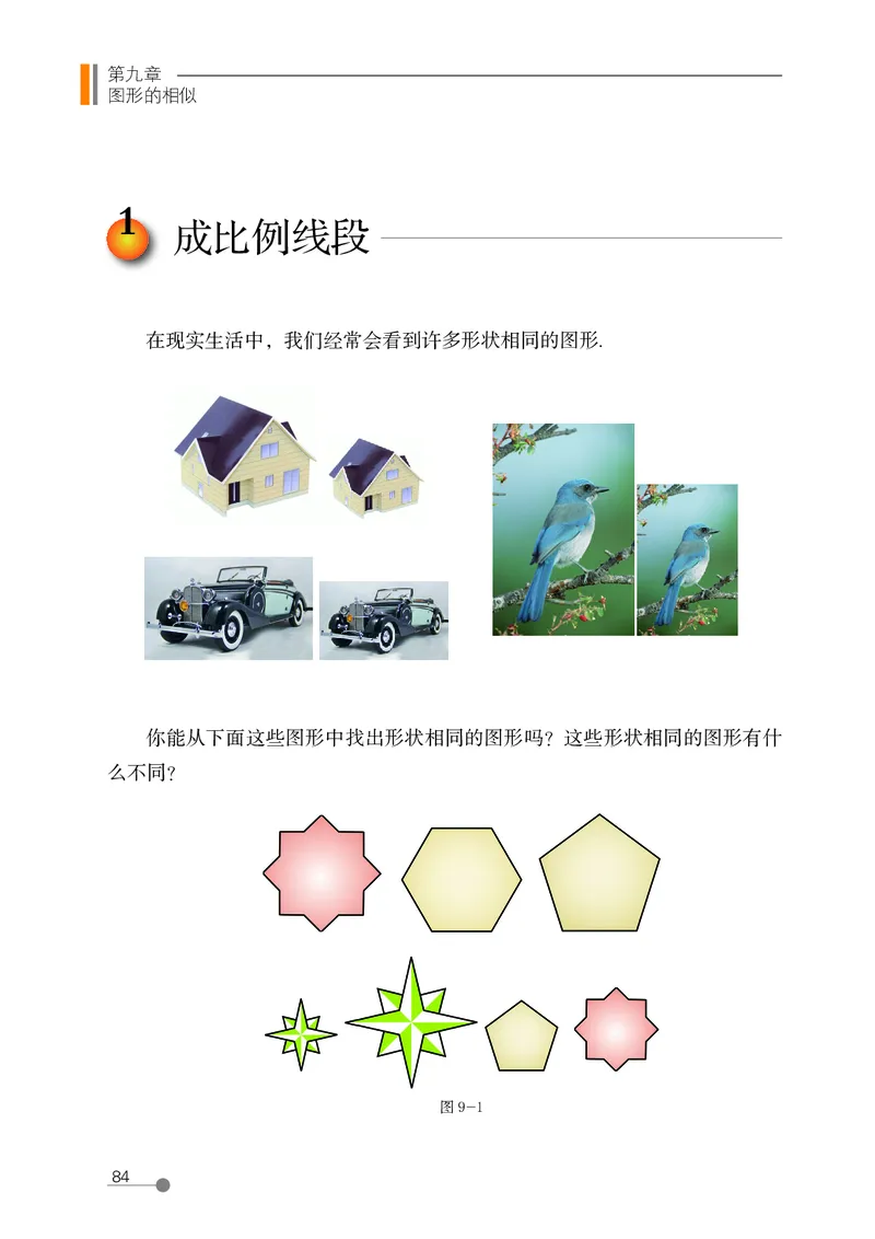 鲁教版8年级数学下册高清教材_4-教培资料-26年最新资料-同步更新_初中高中教资_03科三专项（进去保存报考的学科即可）_02科三专项（笔记真题思维导图教学设计版本二）