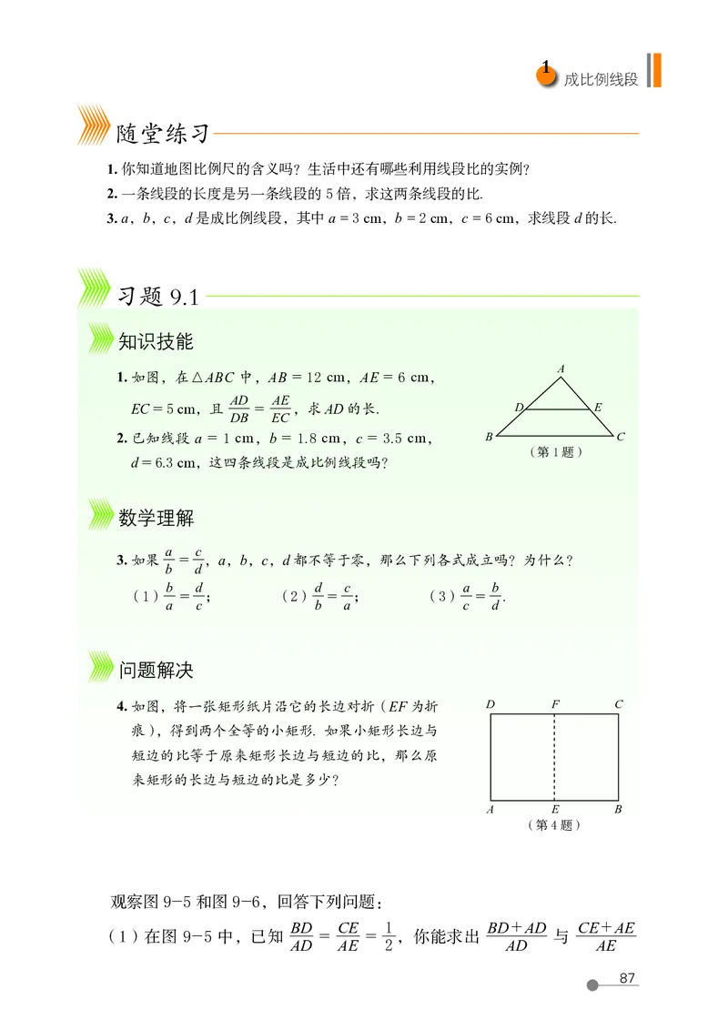 鲁教版8年级数学下册高清教材_4-教培资料-26年最新资料-同步更新_初中高中教资_03科三专项（进去保存报考的学科即可）_02科三专项（笔记真题思维导图教学设计版本二）