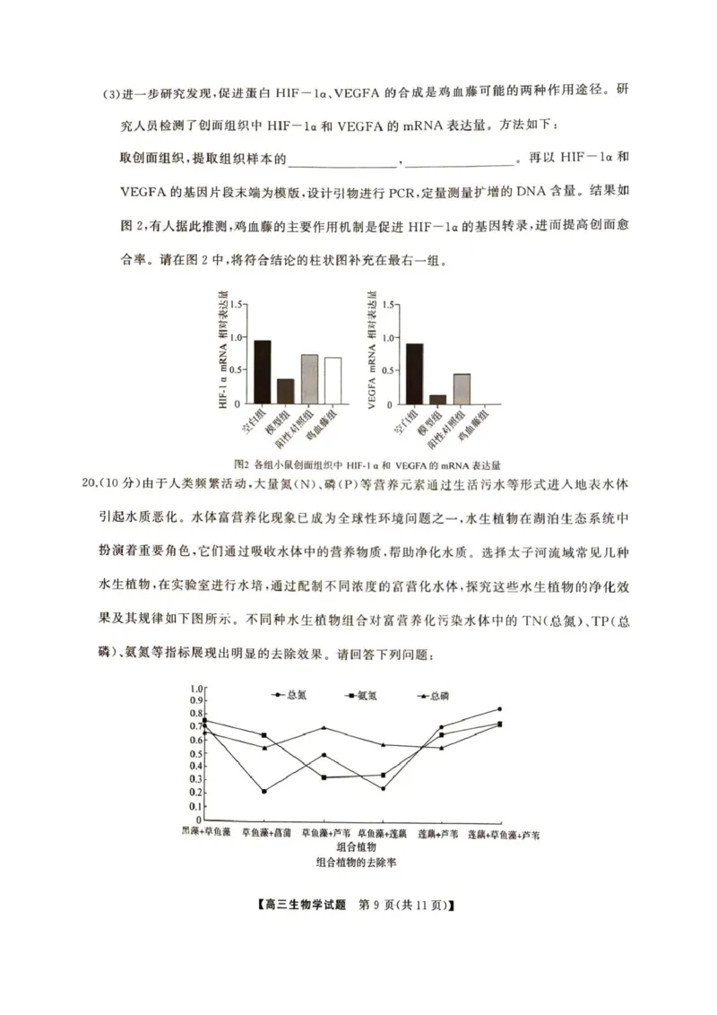 2025届湖南省娄底市高三下学期4月教学质量检测生物试题_2025年4月_2504192025届湖南天壹名校联盟高三4月大联考（娄底4月二模）（全科）