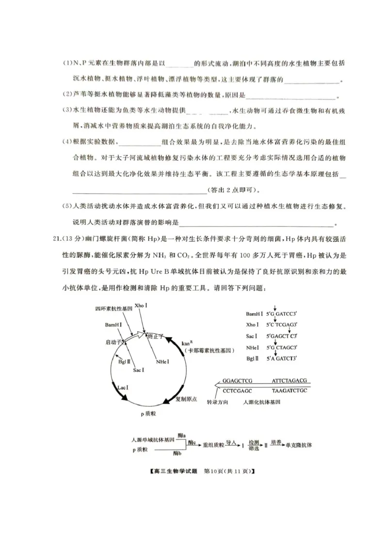2025届湖南省娄底市高三下学期4月教学质量检测生物试题_2025年4月_2504192025届湖南天壹名校联盟高三4月大联考（娄底4月二模）（全科）