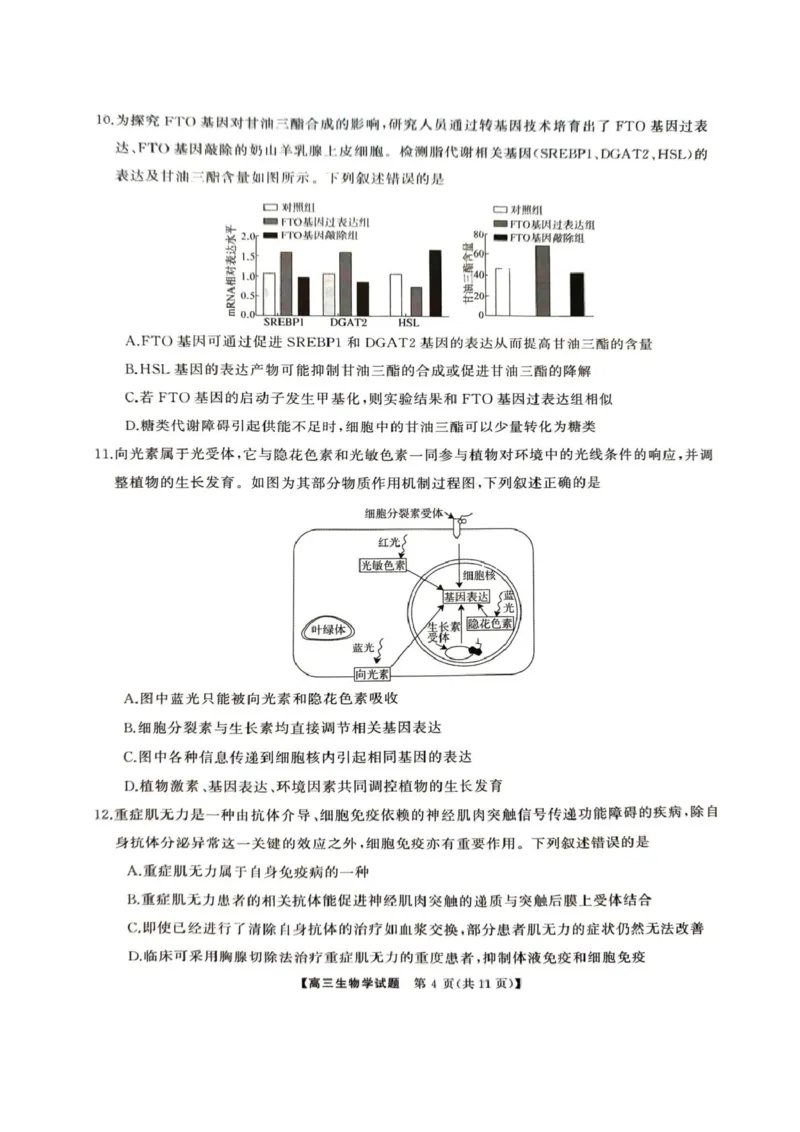 2025届湖南省娄底市高三下学期4月教学质量检测生物试题_2025年4月_2504192025届湖南天壹名校联盟高三4月大联考（娄底4月二模）（全科）
