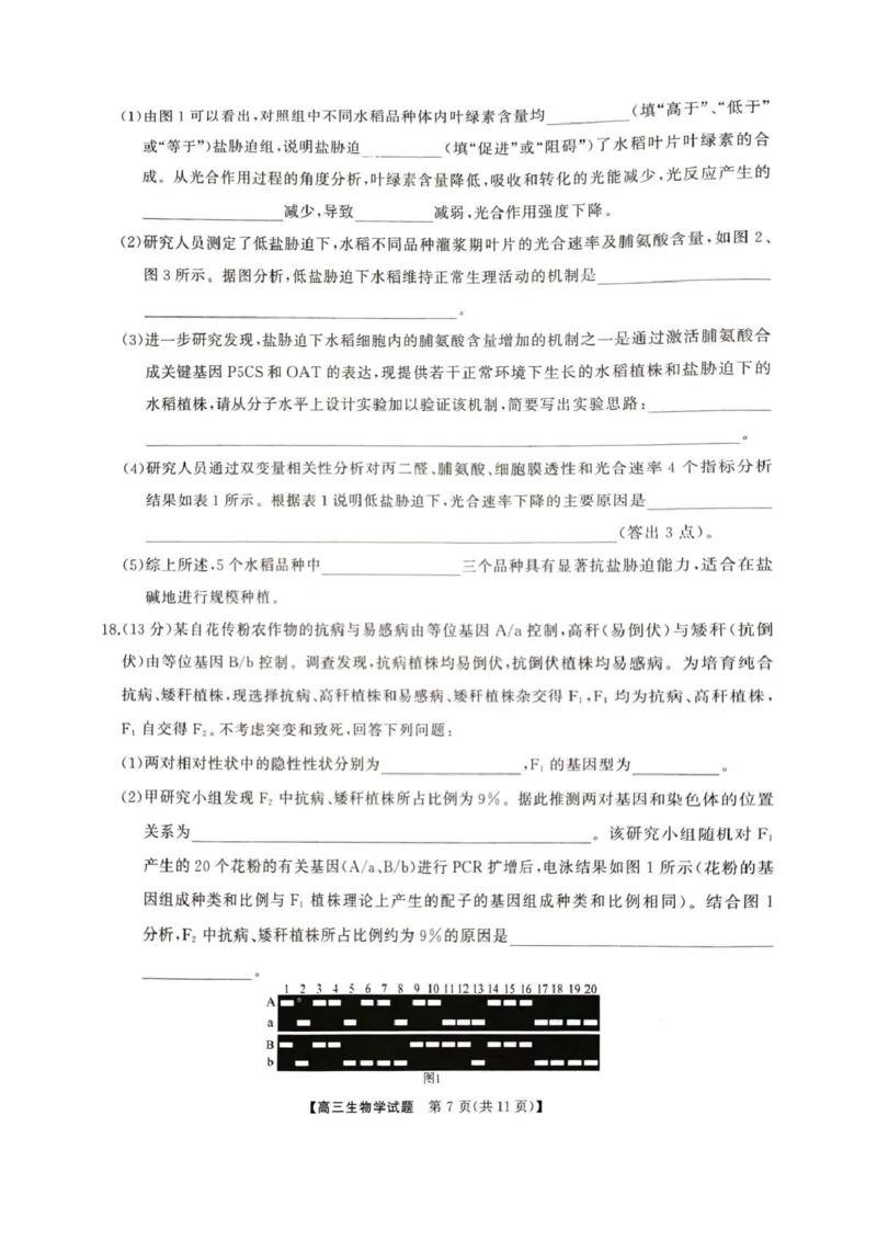 2025届湖南省娄底市高三下学期4月教学质量检测生物试题_2025年4月_2504192025届湖南天壹名校联盟高三4月大联考（娄底4月二模）（全科）