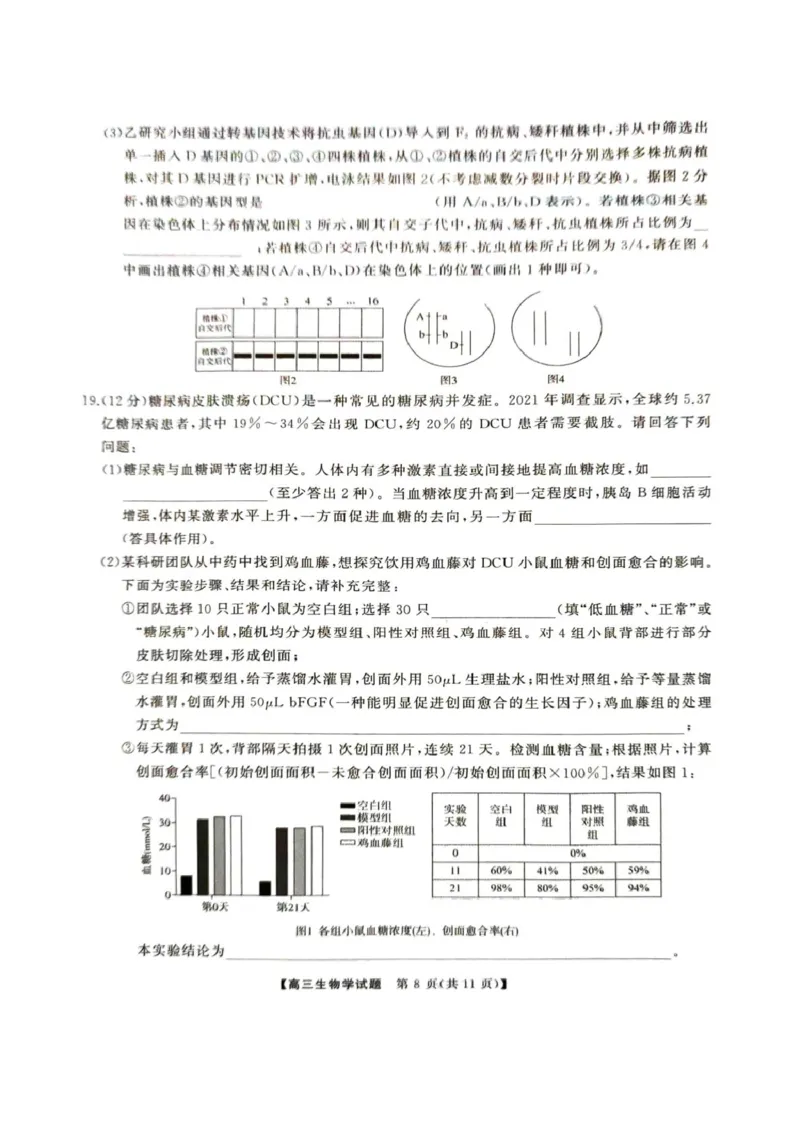 2025届湖南省娄底市高三下学期4月教学质量检测生物试题_2025年4月_2504192025届湖南天壹名校联盟高三4月大联考（娄底4月二模）（全科）