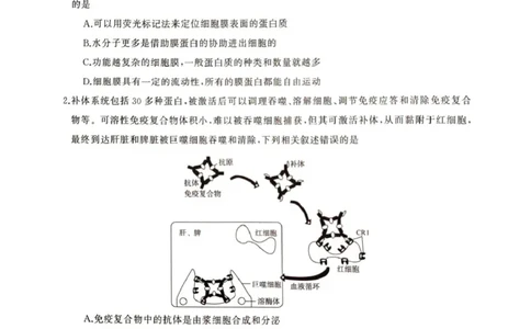 2025届湖南省娄底市高三下学期4月教学质量检测生物试题_2025年4月_2504192025届湖南天壹名校联盟高三4月大联考（娄底4月二模）（全科）