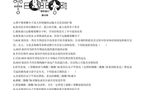 2025届青海省海东市高三下学期二模生物试卷+答案_2025年3月_250325青海省金太阳2025届高三3月联考（全科）