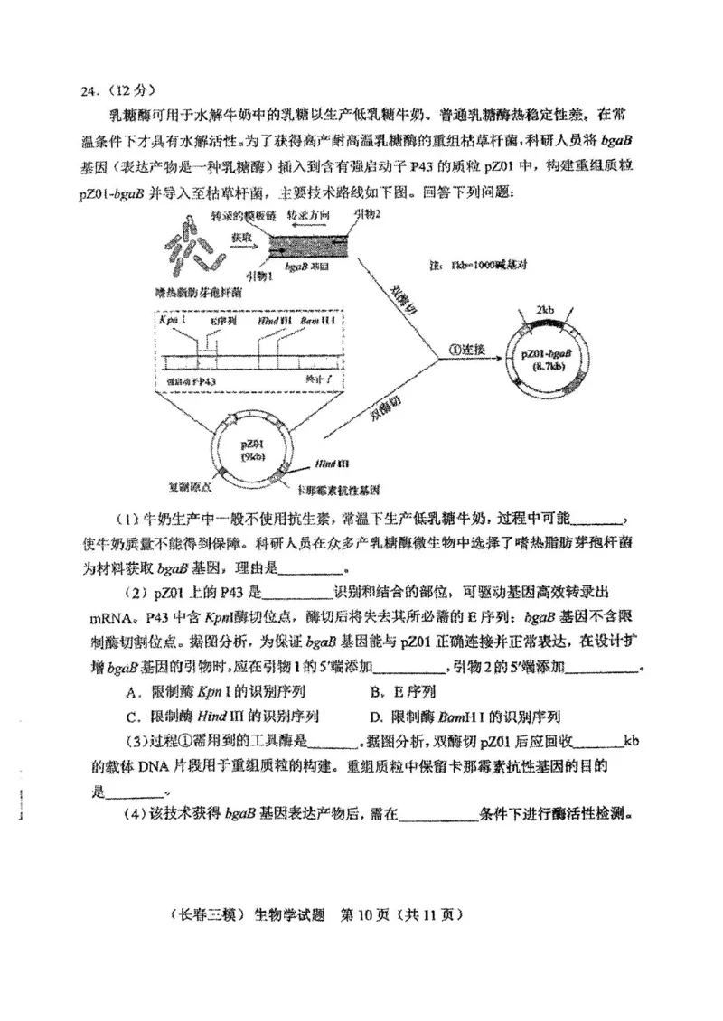 2025届吉林省长春市高三质量监测(三)生物试题_2025年4月_250413吉林省长春市2025届高三下学期质量监测（三）（全科）_吉林省长春市2025届高三下学期质量监测（三）生物