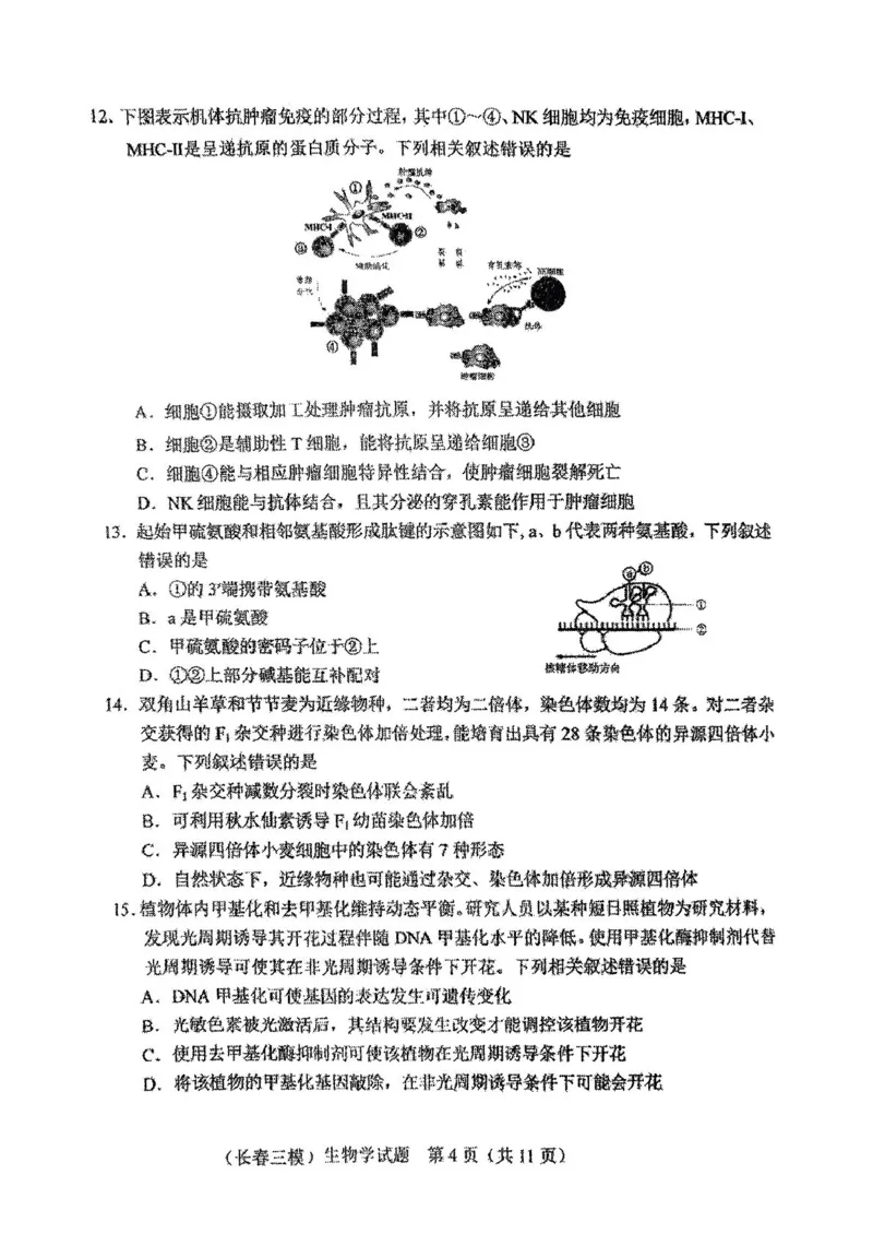 2025届吉林省长春市高三质量监测(三)生物试题_2025年4月_250413吉林省长春市2025届高三下学期质量监测（三）（全科）_吉林省长春市2025届高三下学期质量监测（三）生物