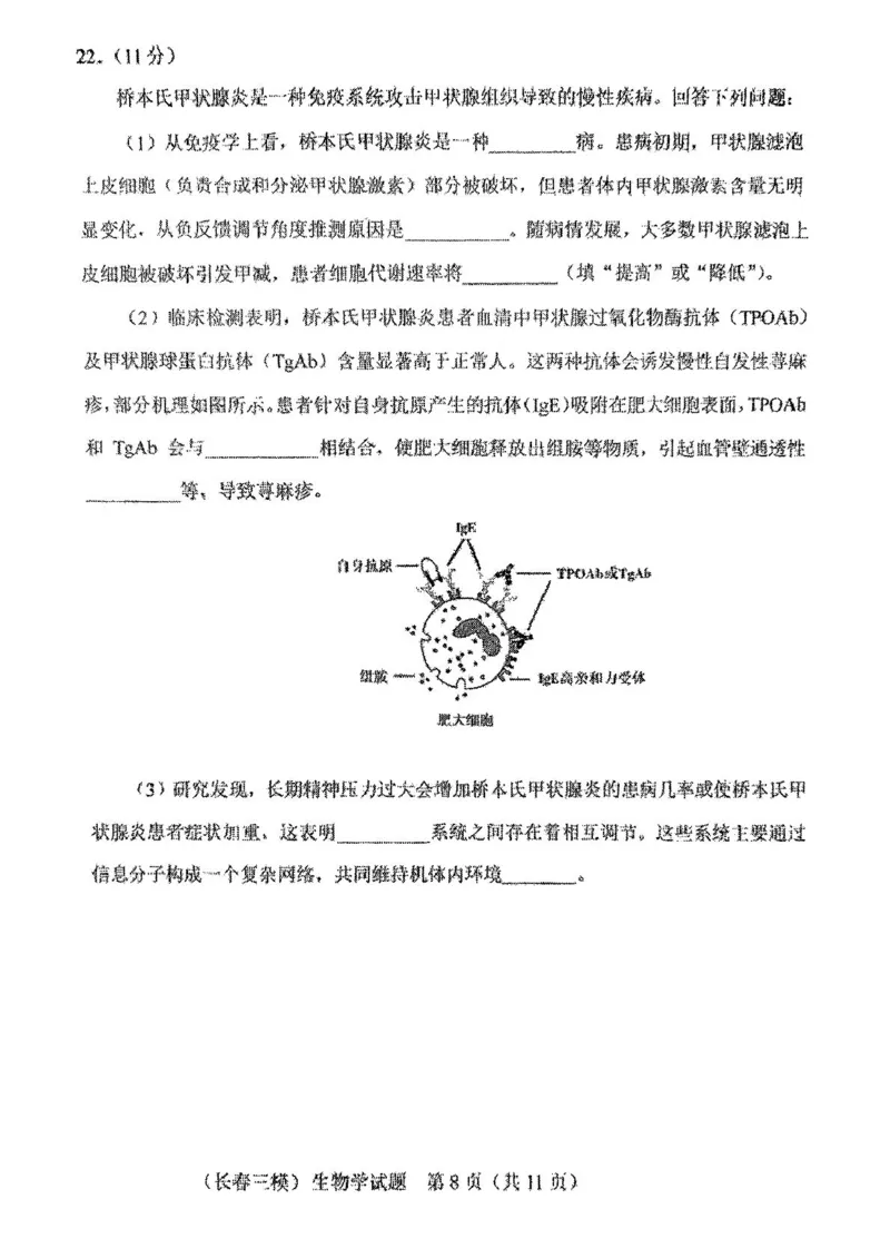 2025届吉林省长春市高三质量监测(三)生物试题_2025年4月_250413吉林省长春市2025届高三下学期质量监测（三）（全科）_吉林省长春市2025届高三下学期质量监测（三）生物