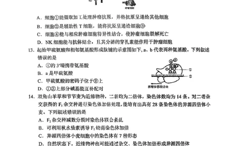 2025届吉林省长春市高三质量监测(三)生物试题_2025年4月_250413吉林省长春市2025届高三下学期质量监测（三）（全科）_吉林省长春市2025届高三下学期质量监测（三）生物