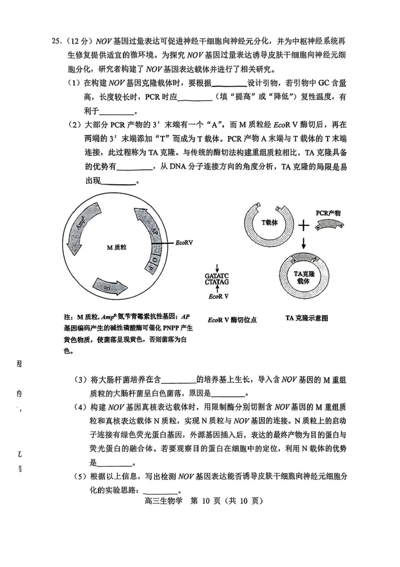 内蒙古赤峰市2025届高三下学期3&middot;20模拟考试生物试卷（含答案）_2025年3月_250320内蒙古赤峰市2025届高三下学期3&middot;20模拟考试（二模）