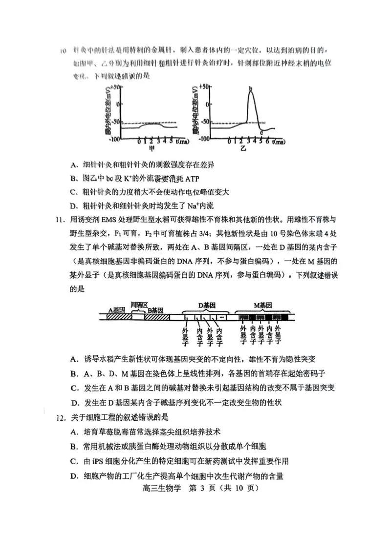 内蒙古赤峰市2025届高三下学期3&middot;20模拟考试生物试卷（含答案）_2025年3月_250320内蒙古赤峰市2025届高三下学期3&middot;20模拟考试（二模）
