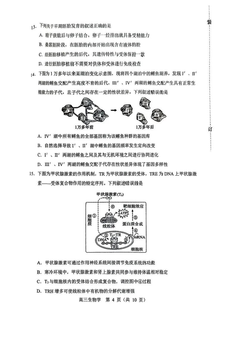 内蒙古赤峰市2025届高三下学期3&middot;20模拟考试生物试卷（含答案）_2025年3月_250320内蒙古赤峰市2025届高三下学期3&middot;20模拟考试（二模）