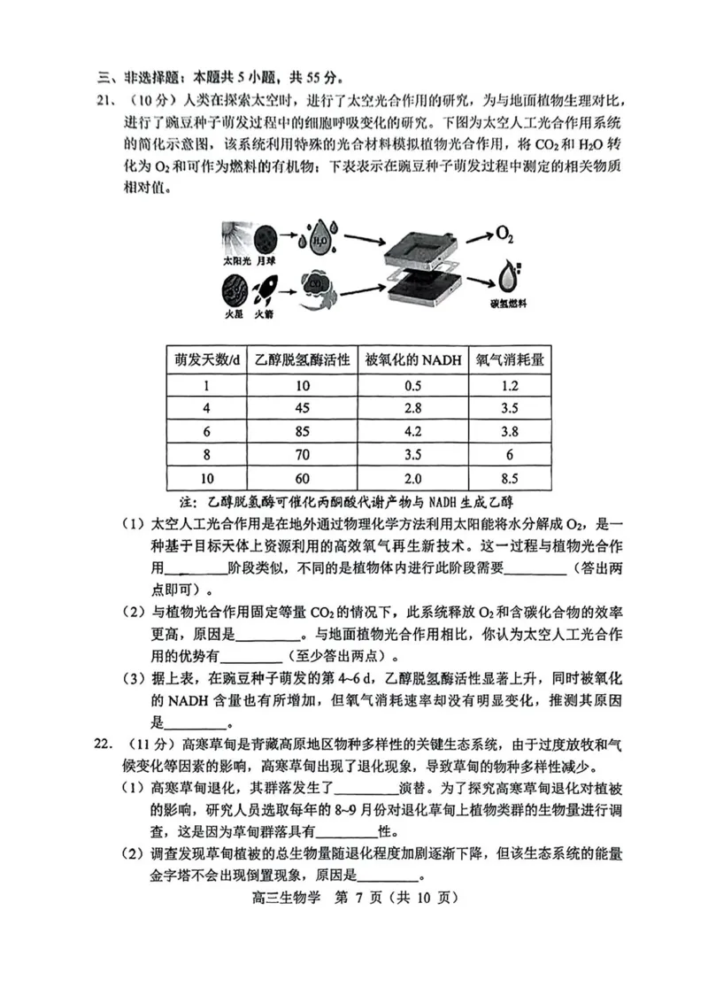 内蒙古赤峰市2025届高三下学期3&middot;20模拟考试生物试卷（含答案）_2025年3月_250320内蒙古赤峰市2025届高三下学期3&middot;20模拟考试（二模）